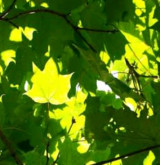 qualite environnement